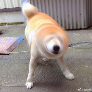 18🈲乳液啪啪麻豆免费网站
